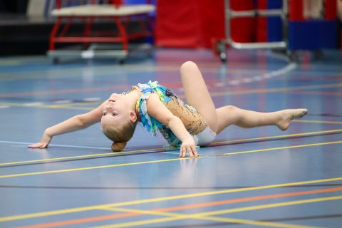 Forårsopvisning 2026 - Lystrup