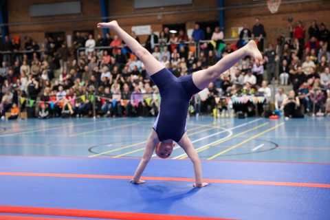 Forårsopvisning 2026 - Lystrup