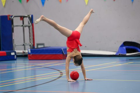 Forårsopvisning 2026 - Lystrup