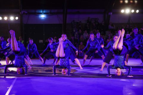 Guld Galla 2026 - Odder