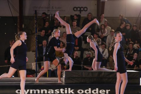 Guld Galla 2026 - Odder