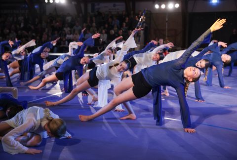 Guld Galla 2026 - Odder