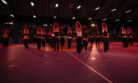 Guld Galla 2026 - Odder