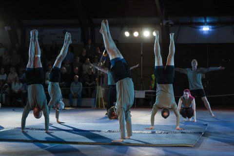 Guld Galla 2026 - Odder