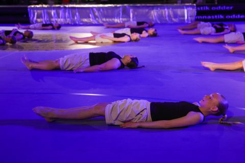 Guld Galla 2026 - Odder