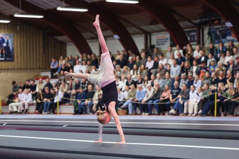 Guld Galla 2026 - Odder