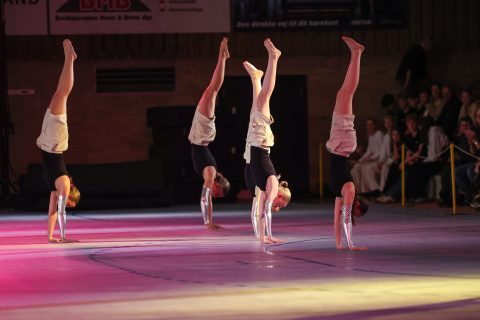 Guld Galla 2026 - Odder