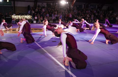 Guld Galla 2026 - Odder