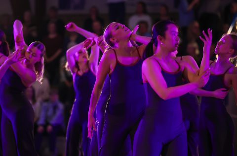 Guld Galla 2026 - Odder