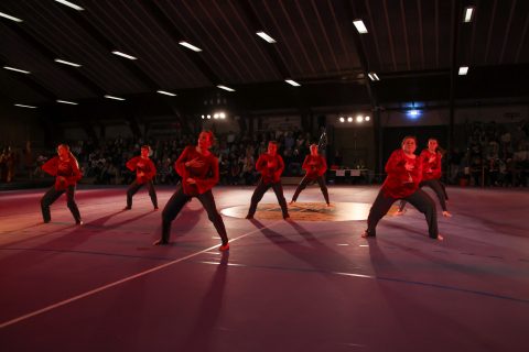 Guld Galla 2026 - Odder