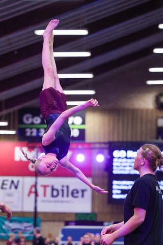 Guld Galla 2026 - Odder