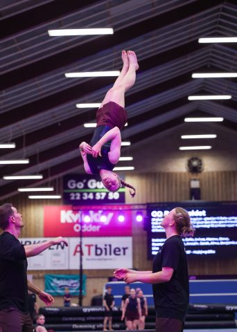 Guld Galla 2026 - Odder