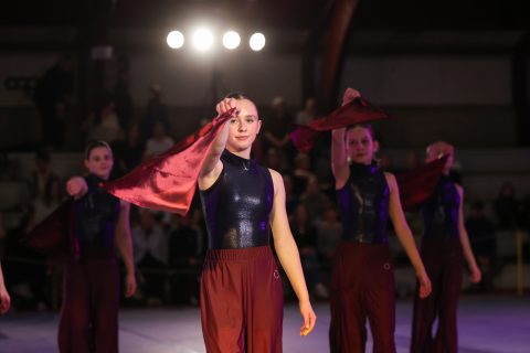 Guld Galla 2026 - Odder