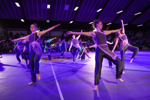 Guld Galla 2026 - Odder