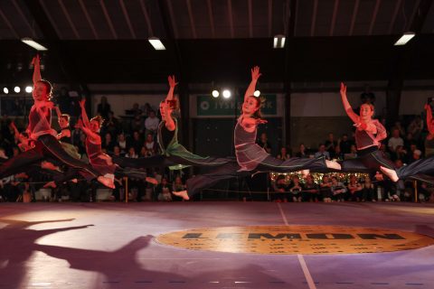 Guld Galla 2026 - Odder