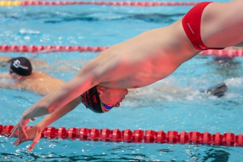 Swimming - Danish Open 2026