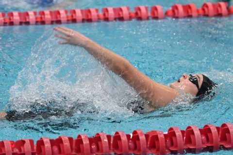 Swimming - Danish Open 2026