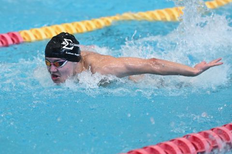 Swimming - Danish Open 2026