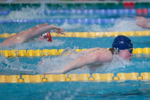 Swimming - Danish Open 2026