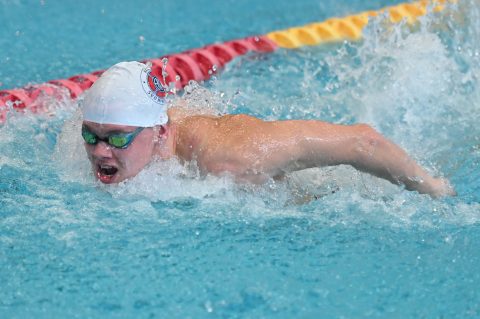 Swimming - Danish Open 2026