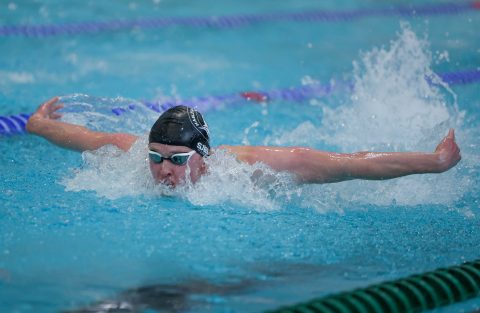 Swimming - Danish Open 2026