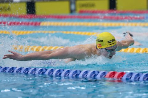 Swimming - Danish Open 2026