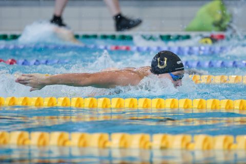 Swimming - Danish Open 2026