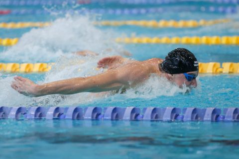 Swimming - Danish Open 2026