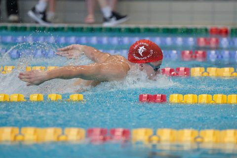Swimming - Danish Open 2026