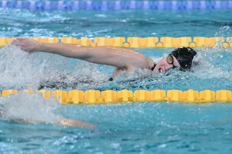 Swimming - Danish Open 2026