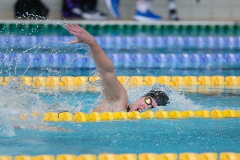 Swimming - Danish Open 2026