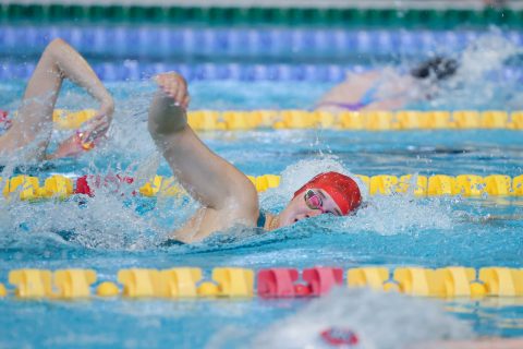 Swimming - Danish Open 2026