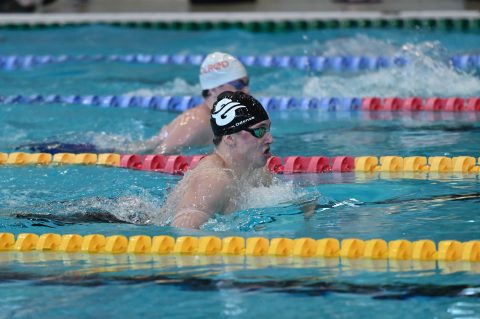 Swimming - Danish Open 2026