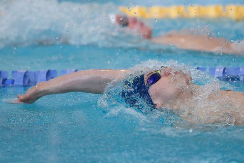 Swimming - Danish Open 2026