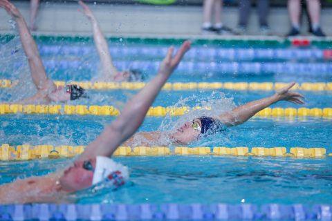 Swimming - Danish Open 2026