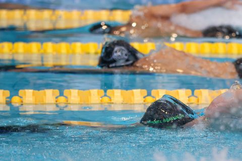 Swimming - Danish Open 2026