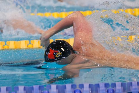 Swimming - Danish Open 2026