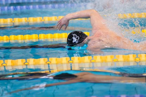 Swimming - Danish Open 2026