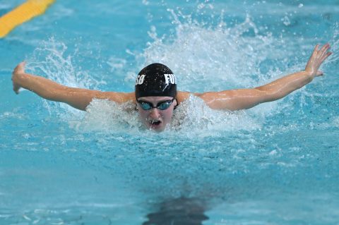 Swimming - Danish Open 2026