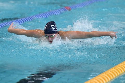 Swimming - Danish Open 2026
