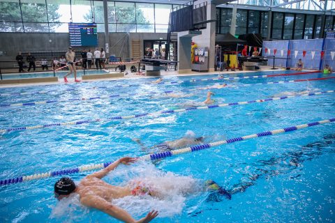 Swimming - Danish Open 2026