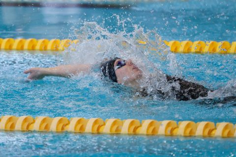 Swimming - Danish Open 2026