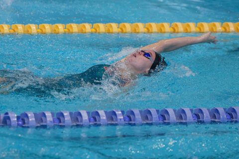 Swimming - Danish Open 2026