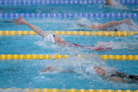 Swimming - Danish Open 2026