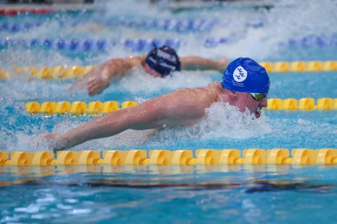 Swimming - Danish Open 2026