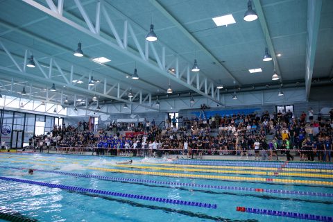 Swimming - Danish Open 2026