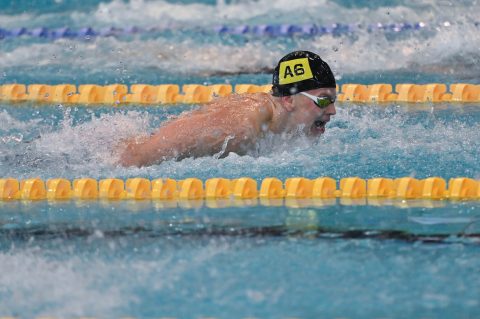 Swimming - Danish Open 2026