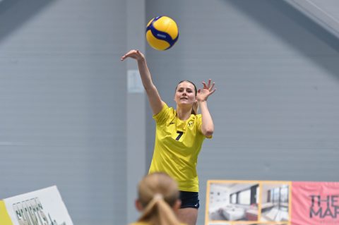 Brøndby VK - Gentofte Volley - Volleyligaen 2025-2026