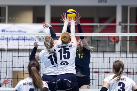 Brøndby VK - Gentofte Volley - Volleyligaen 2025-2026