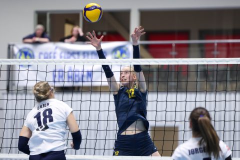 Brøndby VK - Gentofte Volley - Volleyligaen 2025-2026
